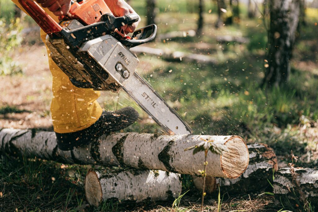 Baum mit Kettensäge bearbeiten Oberösterreich Arbeiten