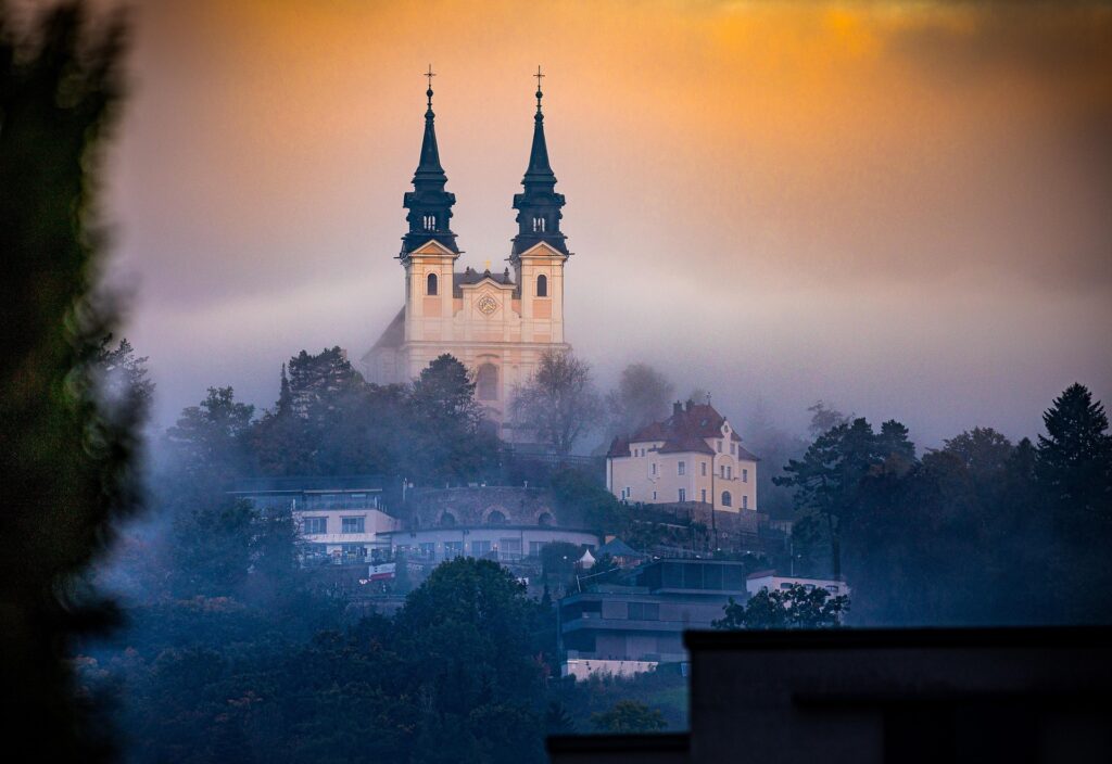 Baumschnitt im ganzen Zentralraum Linz, Wels und Steyr